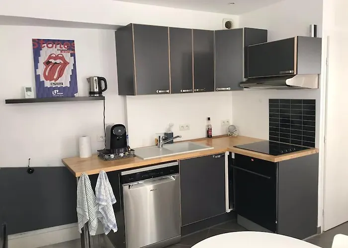 Maison Vieux 公寓 里尔