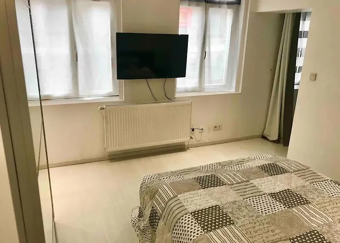 Maison Vieux * 里尔