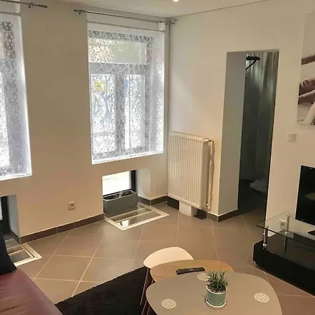 Apartament Maison Vieux Lille